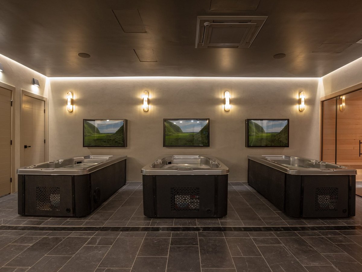 Finished commercial recovery spa with three cold plunges and sauna